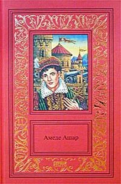 Амеде Ашар Королевская охота обложка книги