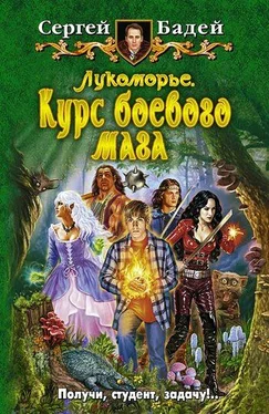 Сергей Бадей Лукоморье. Курс боевого мага обложка книги