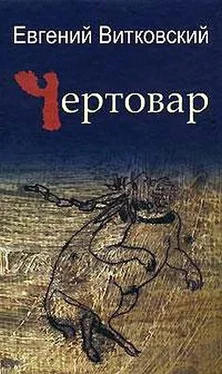 Евгений Витковский Чертовар обложка книги