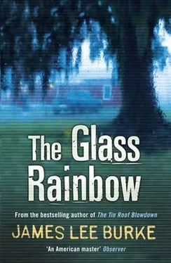 James Burke The Glass Rainbow обложка книги