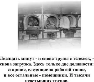 ТЫ СЕГОДНЯ ОТДАЛ СВОЕГО Дата какая сегодня екнуло сердце В какой день - фото 5