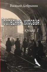 Василий Добрынин - Последняя мировая... Книга 1
