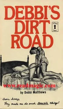 Debbi Matthews Debbi_s dirt road обложка книги