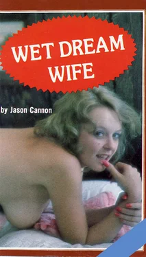 Jason Cannon Wet dream wife обложка книги