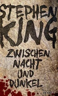 Stephen King Zwischen Nacht und Dunkel обложка книги