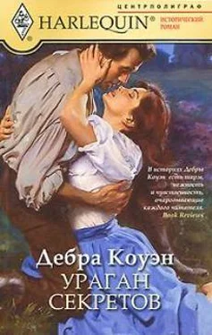 Дебра Коуэн Ураган секретов обложка книги