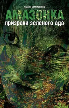 Андрей Шляхтинский Амазонка: призраки зеленого ада обложка книги