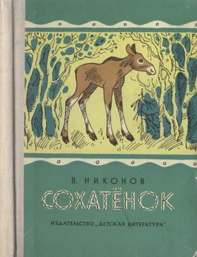 Василий Никонов Сохатёнок [Повесть] обложка книги