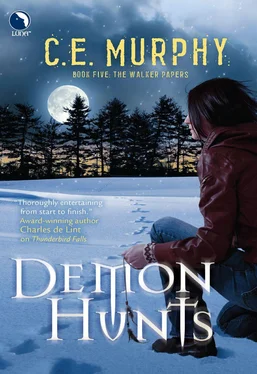 C. Murphy Demon Hunts обложка книги