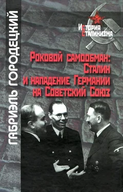 Габриэль Городецкий Роковой самообман обложка книги