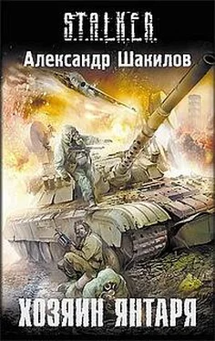 Алкесандр Шакилов Хозяин Янтаря обложка книги