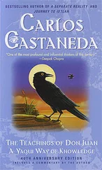 Carlos Castaneda - The Teachings of Don Juan - A Yaqui Way of Knowledge