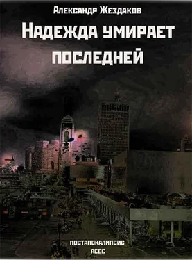 Александр Жездаков Надежда умирает последней обложка книги