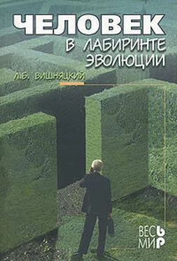 Леонид Вишняцкий Человек в лабиринте эволюции обложка книги