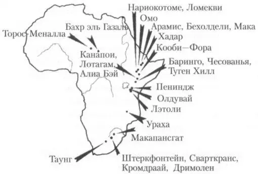 Рис 14Карта основных местонахождений где были обнаружены костные останки - фото 20
