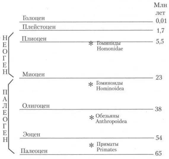 Рис 2Геохронологическая шкала кайнозойской эры Звёздочками отмечено - фото 5