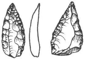 Рис 31Кремнёвые остроконечники эпохи среднего палеолита Так и получилось что - фото 41