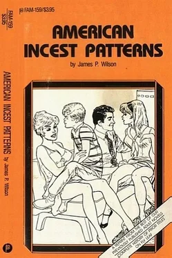 James Wilson American incest patterns обложка книги