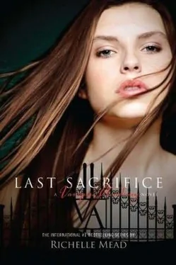 Richelle Mead Last Sacrifice обложка книги