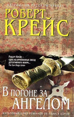 Роберт Крейс В погоне за ангелом обложка книги