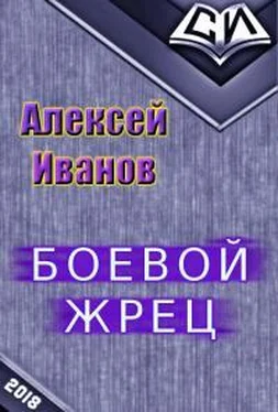 Алексей Иванов Боевой жрец [СИ, калибрятина] обложка книги