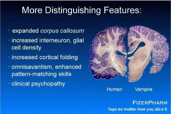Here were getting into the central nervous system and this is where the real - фото 18