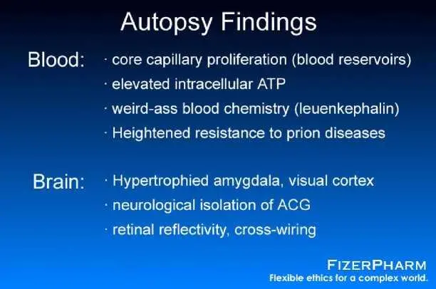 Autopsy revealled a number of significant findings at both gross and - фото 8