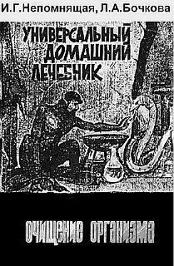 И. Непомнящая Универсальный домашний лечебник. Очищение организма обложка книги