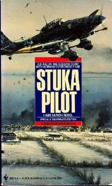 Hans-Ulrich Rudel Stuka Pilot обложка книги