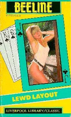 Tabitha Briton Lewd layout обложка книги