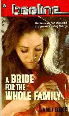 James Elliott A Bride For The Whole Family обложка книги