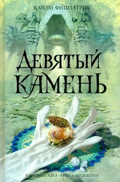 Кайли Фицпатрик Девятый камень обложка книги