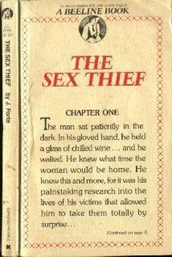 J. Forte The Sex Thief обложка книги