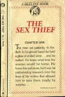 J Forte The Sex Thief Introduction and allowed him freedom from worry - фото 1