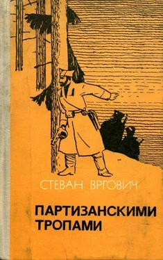 Стеван Вргович Партизанскими тропами обложка книги