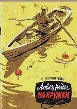 Семен Бернштейн Ловля рыбы на кружки обложка книги