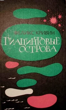 Феликс Кривин Гиацинтовые острова обложка книги