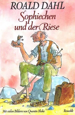 Roald Dahl Sophiechen und der Riese обложка книги