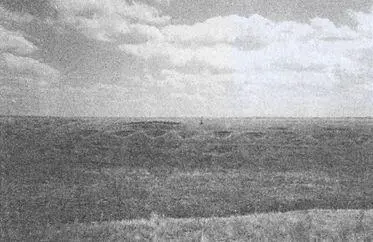 В начале октября когда стало ясно что дивизия будет удерживать зимние позиции - фото 154