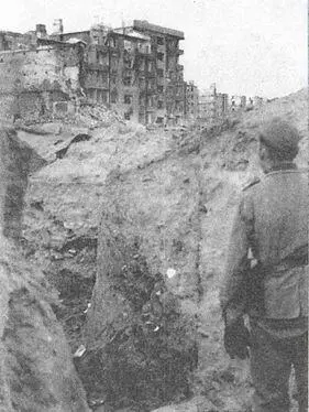 Вюстер и его проводник в глубокой траншее идущей по верху волжского берега - фото 158