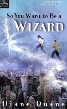 Диана Дуэйн So You Want To Be A Wizard обложка книги