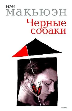 Иэн Макюэн Черные собаки обложка книги