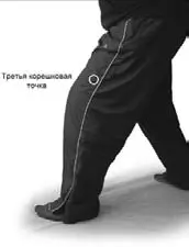 Фото 79 Третья корешковая точка Фото 80 Пример возможного захвата всех - фото 84