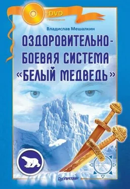 Владислав Мешалкин Оздоровительно-боевая система «Белый Медведь» обложка книги