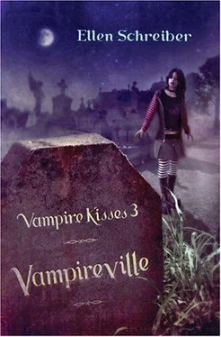 Эллен Шрайбер Vampireville обложка книги