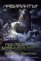 Джеймс Дашнер - Последният кандидат