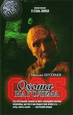 Михаил Шухраев Охота на Голема обложка книги