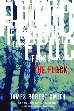 James Smith The Flock обложка книги