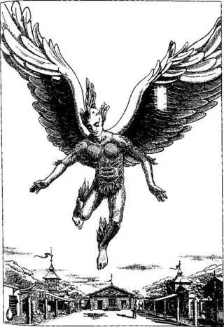 Among the steppe tribes the wings are allowed to develop completely and the - фото 15