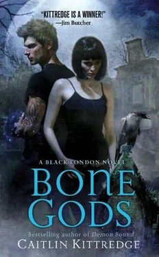 Caitlin Kittredge Bone Gods обложка книги